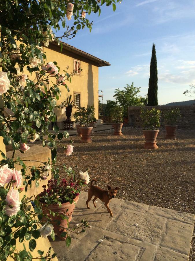 Villa Ronzanello Dimora Medicea Carmignano Dış mekan fotoğraf